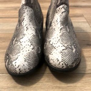 cat and jack snake skin boots